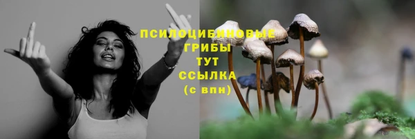 mdma Дмитриев