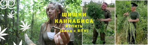 мдма Дмитров