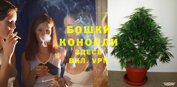 МДПВ Дмитровск