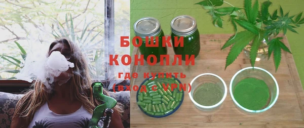 МДПВ Дмитровск