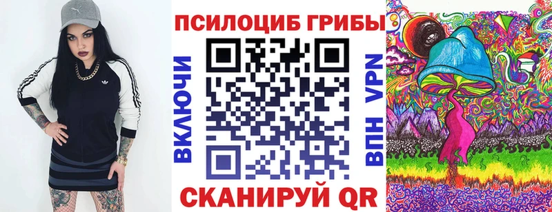 Купить закладки Тулун Галлюциногенные грибы ЛСД